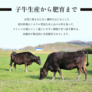 高千穂牛　モモ三角ステーキ