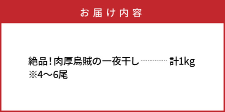 絶品！肉厚烏賊の一夜干し1kg/ いか イカ 烏賊 するめイカ 一夜干し 肴 つまみ おかず 海鮮_2366R