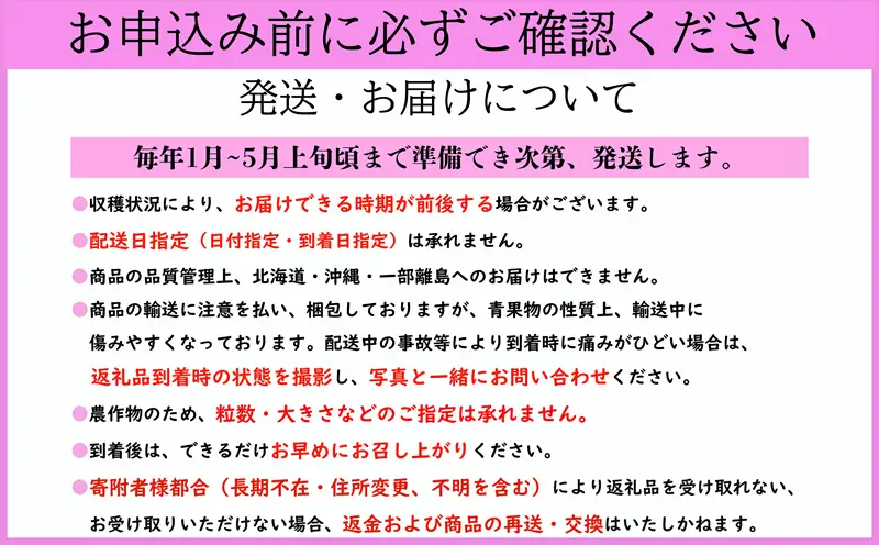 とちおとめ 約1kg いちご 【 とちおとめ 】 先行予約
