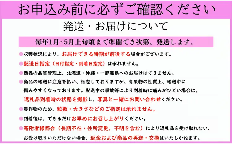 いちご やよいひめ 計1kg 【いちご】