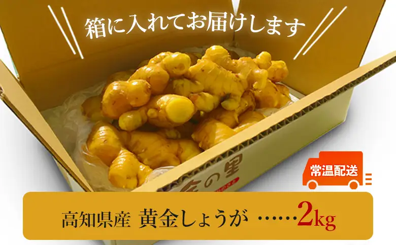 【生姜一筋70年】生姜老舗問屋 黄金しょうが2kg 高知県 香南市 坂田信夫商店 Xnb-0007