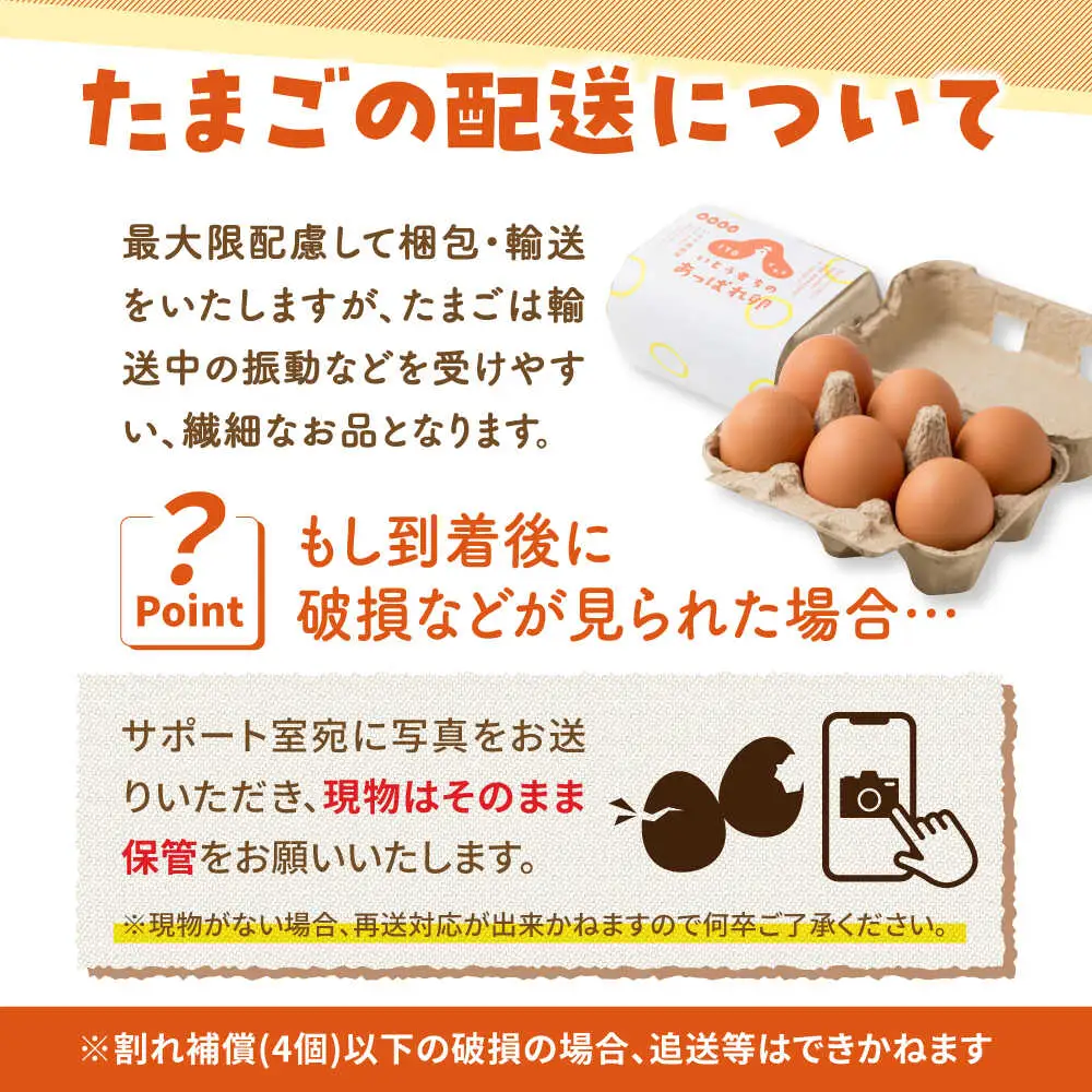 【3回定期便】あっぱれ卵 80個 /いとう養鶏場 [UAQ003] 卵