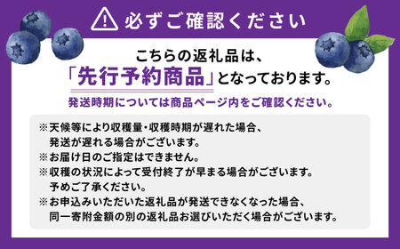 【2027年7月上旬頃より順次発送予定】生ブルーベリー 1kg（250g×4袋）/ ベリー べりー ブルーベリー ぶるーべりー 生 小分け 果物 くだもの フルーツ ふるーつ / 大村市 / おおむら夢ファームシュシュ[ACAA005]