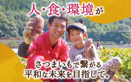 【全12回】さつまいものバターケーキ さつまいも[XAD056]