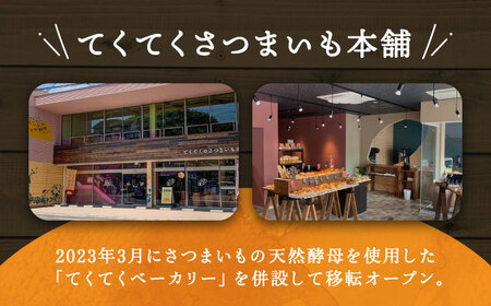 【全6回】さつまいもたると5号×2個 さつまいも[XAD071]