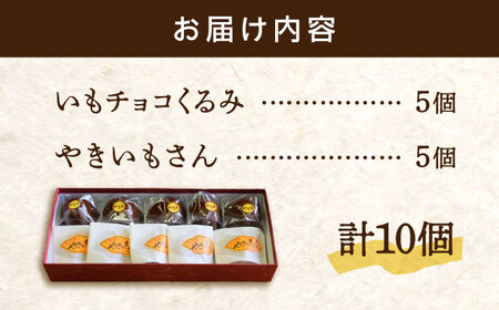 和菓子 さつまいも饅頭2種10個 饅頭 和菓子[XAV004]