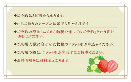いちご狩り体験ペアチケット いちご イチゴ 苺[XBA007]