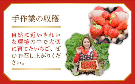 【全3回定期便】瀬戸内の島で育ったいちごのジャム200mL×6個セット 苺 イチゴ 人気 グルメ 贈答 果物 フルーツ 料理 ギフト プレゼント 広島県産 江田島市/沖美ベジタ有限会社[XBA008]