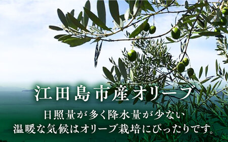 希少な国産オイル！【11月中旬から順次発送】江田島産 オリーブ 塩水漬け マンザニロ種 4つセット（瓶タイプ）  塩漬け サラダ 簡単 広島県産 江田島市/瀬戸内いとなみ舎合同会社[XBB008]