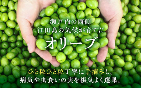 晩酌のお供に！【11月中旬から順次発送】オリーブ塩水漬けセット マンザニロ種＆ミッション種 各2個（瓶タイプ）ギフト 塩漬け サラダ 簡単 広島県産 江田島市/瀬戸内いとなみ舎合同会社[XBB012]