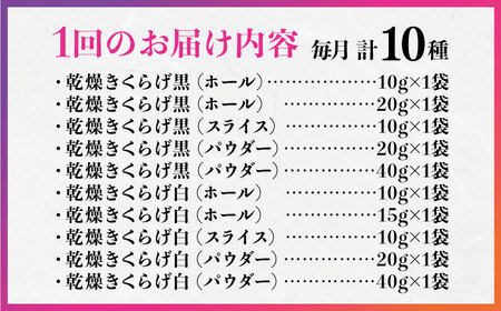 【全12回】きくらげ よくばりセット計10袋 きくらげ[XCB014]