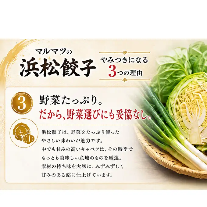 餃子 120粒 2種味くらべ 総重量2 4kg 餃子