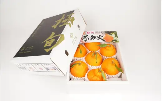【贈答用化粧箱入】 不知火 樹上完熟 約2kg （5～8個入）※2027年2月下旬頃から3月下旬頃に順次発送【KG10】【kgr014】