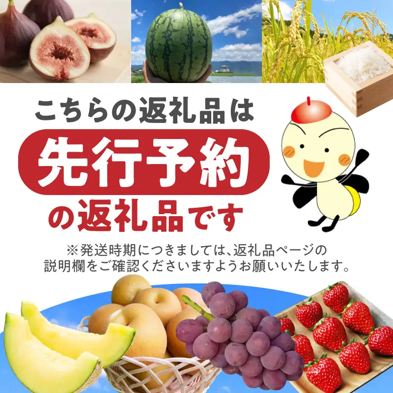 【2027年先行予約】甘くてジューシー産直　旬のぶどう竜宝　2房 （約1.0kg）フルーツ 葡萄  産直 DL-0003