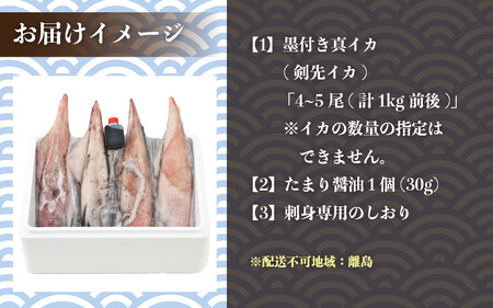 【期間限定】新鮮 朝獲れ 真イカ (剣先イカ）約1kg 真いか するめいか [m21-b015]