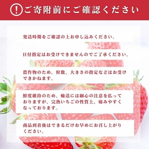 京いちご 約1kg いちご
