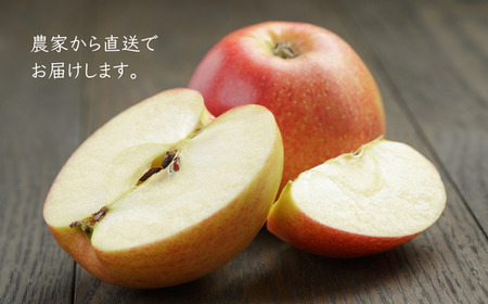 KR22 りんご つがる 約3kg 贈答 / 2026年8月下旬頃～配送予定 // 長野県 南信州 ギフト 贈答 リンゴ 林檎 つがる 農家直送 農家支援 産地直送