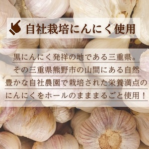 熊野薬草園の黒ニンニク5袋セット（100g×5袋）【kmys0025】