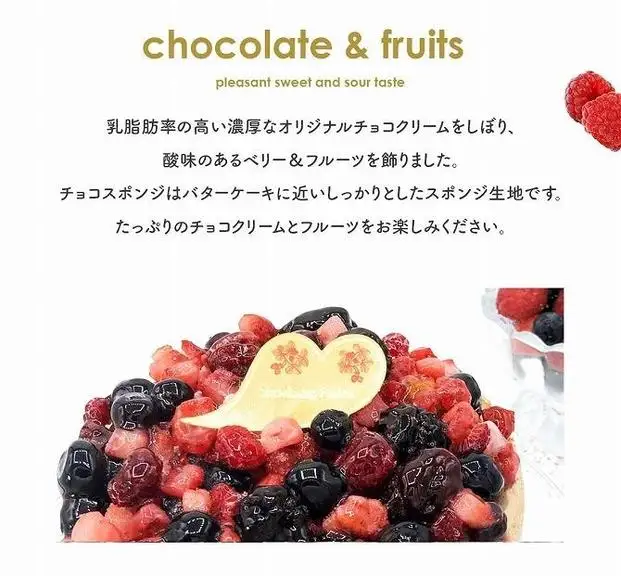 【福岡市】ベリーの濃厚チョコケーキ 5号 15cm径 ストロベリーフィールズ | 菓子 おかし 食品 人気 おすすめ 送料無料
