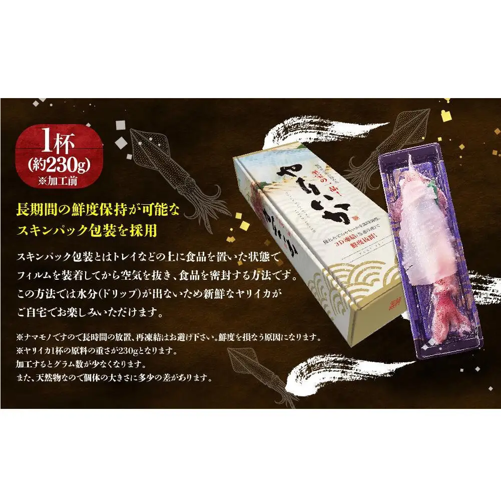 特A 呼子ヤリイカ 姿造り 刺身 1杯 加工前 230g セット いか ヤリイカ 刺身 お刺身 海鮮 魚 魚介 海の幸 おつくり 国産 九州 博多 福岡市
