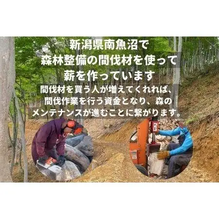 広葉樹薪【ナラ・クヌギ】40cm 13kg 高品質 焚火 キャンプ｜キャンプ