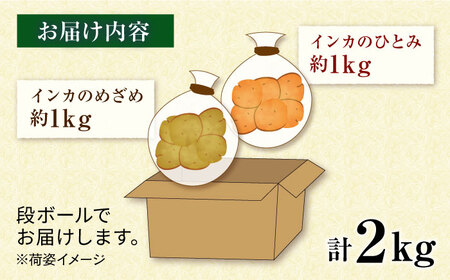 糸島育ちのジャガイモ 2種食べ比べ インカのめざめ インカのひとみ 各1kg・計2kg  糸島市 / 糸島ボンテール農園 [ACO012]