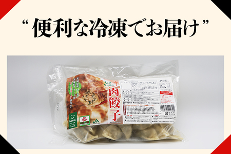 【数量限定】 しそたっぷり肉餃子 2袋 肉餃子30個×2袋 60個 ぎょうざ ギョウザ 餃子 しそ シソ ローズポーク 豚肉 小美玉産 茨城県産 名産 冷凍 17-AN