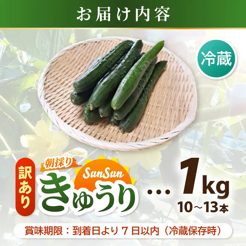 【先行予約】【訳あり】期間限定 太陽の光サンサンと浴びた「SunSun きゅうり」 1kg以上【2026年7月上旬以降順次発送】【胡瓜 野菜 漬物】】 [e35-a055]