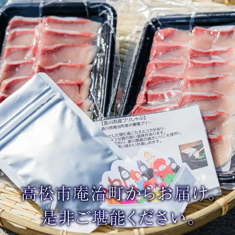 香川県産オリーブハマチのぶりしゃぶセット
