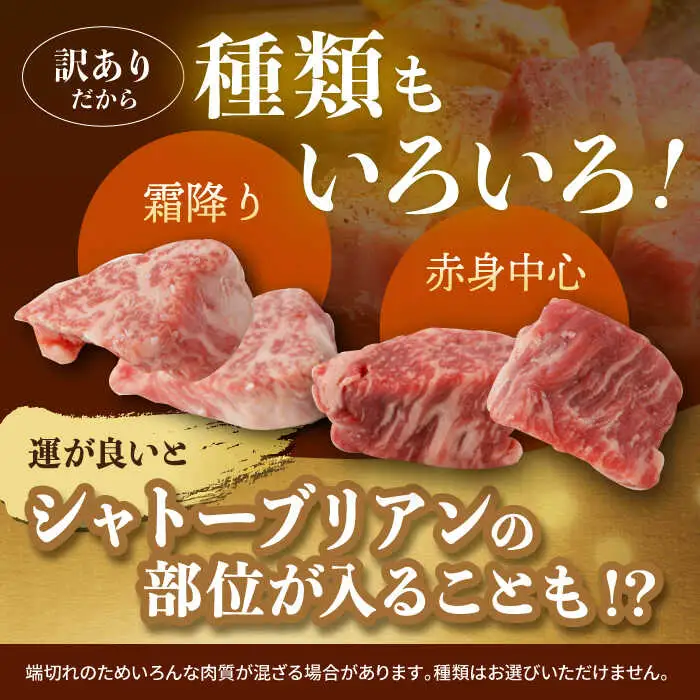 【訳あり】長崎和牛 ヒレ サイコロステーキ 計300g以上【肉のマルシン】 [FG46] 牛肉 希少部位 ヒレ 和牛ステーキ ヒレステーキ サイコロステーキ ひれ 長崎和牛 牛肉 サイコロステーキ  