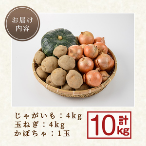 野菜詰め合わせ 10kg じゃがいも たまねぎ かぼちゃ 2025年10月中旬以降順次発送 【士別農園】B7055