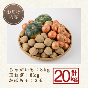 野菜 詰め合わせ 20kg たまねぎ かぼちゃ じゃがいも 北海道産 2026年10月中旬以降順次発送 【士別農園】C7037