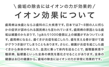 歯ブラシ IONPA home 抗菌 極細 替えブラシ レギュラー ブラック 計24本