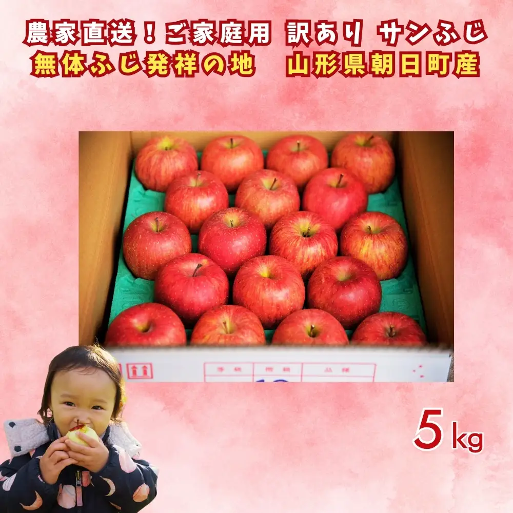 りんご 【 ご家庭用 訳あり 】 サンふじ 5kg 【2026年11月下旬～発送】 山形県 朝日町産 農家直送 山形県産 特産 果物 フルーツ リンゴ 林檎 秋 冬 送料無料