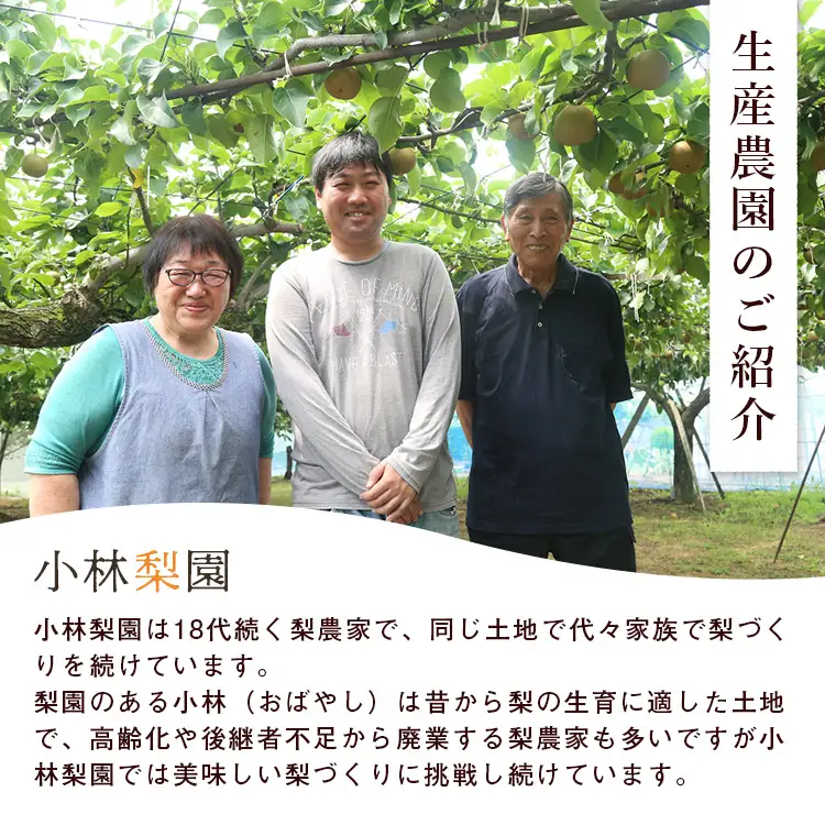 梨 幸水 約3kg 6玉～12玉 幸水
