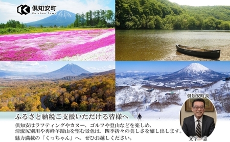 ゆめぴりか 精米 特A 北海道産 ゆめぴりか【4kg】【定期便 全10回】