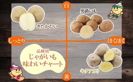 じゃがいも 男爵 きたかむい 北海道産 じゃがいも【各約5kg 計10kg Lサイズ】