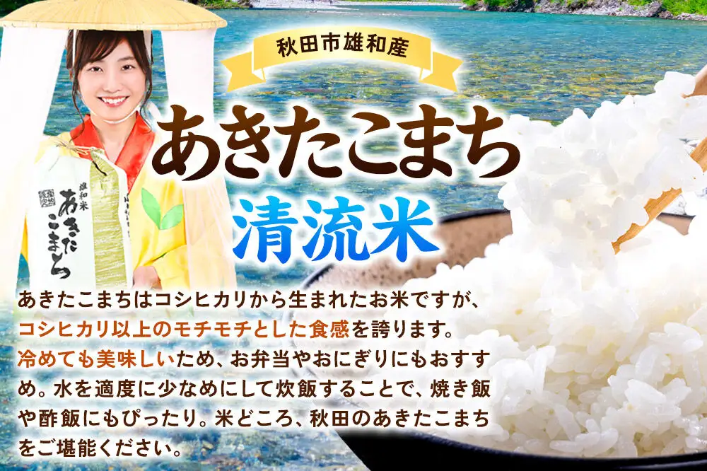 《定期便7ヶ月》あきたこまち 清流米 10kg(5kg×2袋)【白米】 秋田市雄和産