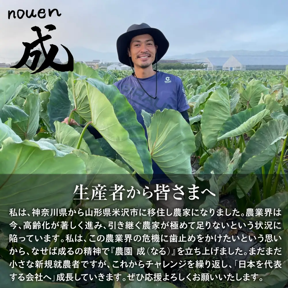 《 先行予約 》【 令和8年産 夏芽 】 アスパラガス L 1kg （ 太物 L以上 ）〔 2026年 7月中旬頃 ～ 発送予定 〕 アスパラ 野菜 農園成 産地直送 農家直送 2026年産