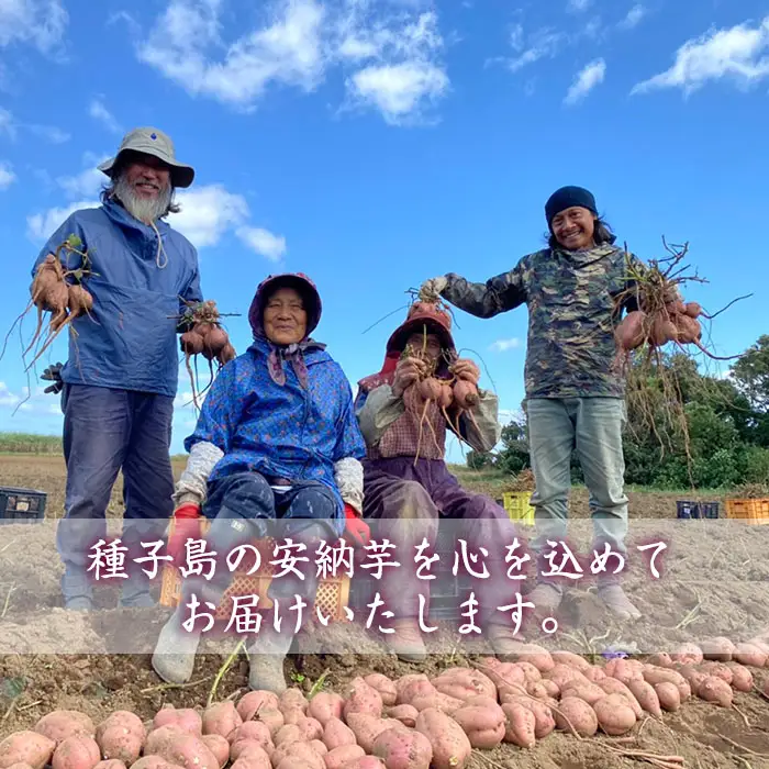 n243 安納芋 焼き芋 250g × 6袋 国産 鹿児島 種子島 冷凍 さつま芋 焼芋 【中園久太郎商店】
