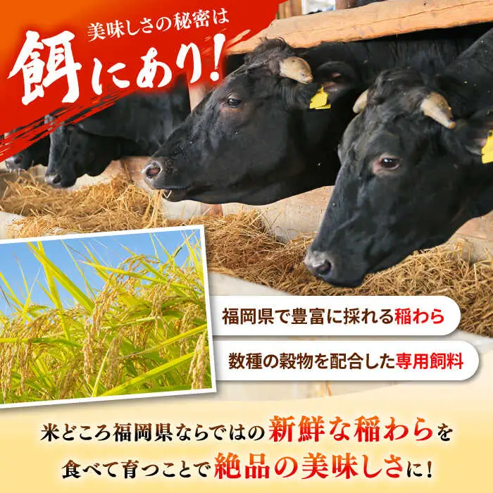 【 厳選 部位！】 博多和牛 サーロイン しゃぶしゃぶ すき焼き 用 300g  [ADAQ023] 肉 黒毛和牛