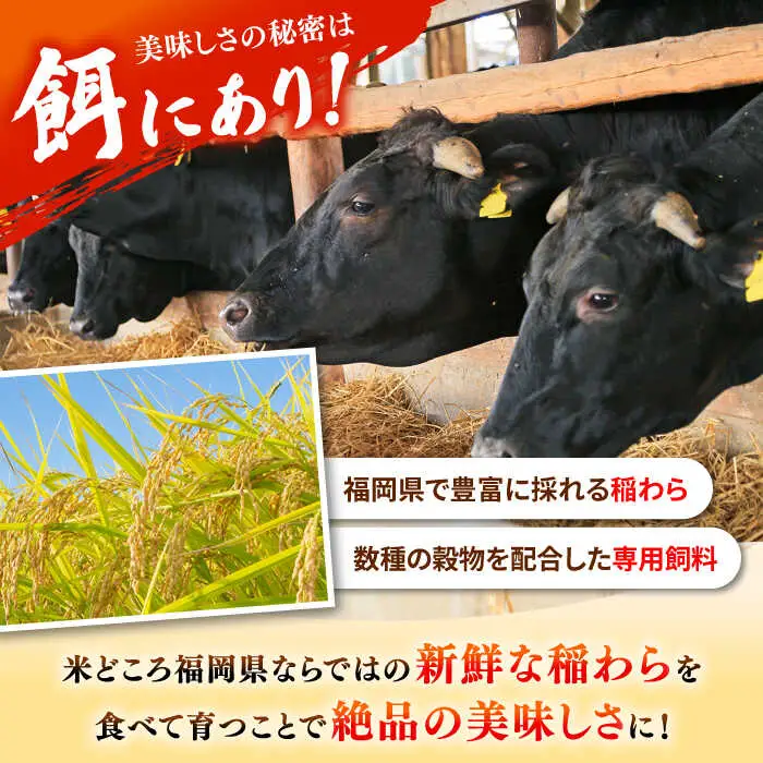 【 訳あり 】 博多和牛 牛肉 しゃぶしゃぶ すき焼き用 700ｇ 桂川町/株式会社 MEAT PLUS [ADAQ025] 国産 牛肉 和牛 しゃぶしゃぶ すき焼き ロース もも うで 支援品 支援