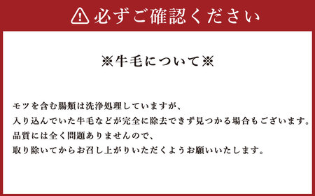 国産牛 もつ鍋 10人前 牛もつたっぷり 1,000g 冷凍ちゃんぽん 濃縮スープ付