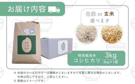 【先行予約】【令和7年産】乳酸菌入りの土壌で育てた 福井県 坂井町産 特別栽培米コシヒカリ 3kg（白米）【2025年9月中旬以降順次発送予定】 [A-4840_01]