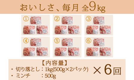 【定期便】 豚肉詰め合わせ 国産豚肉切り落とし＆ミンチ 合計9kg（1.5kg×6回） TF0769-P00070