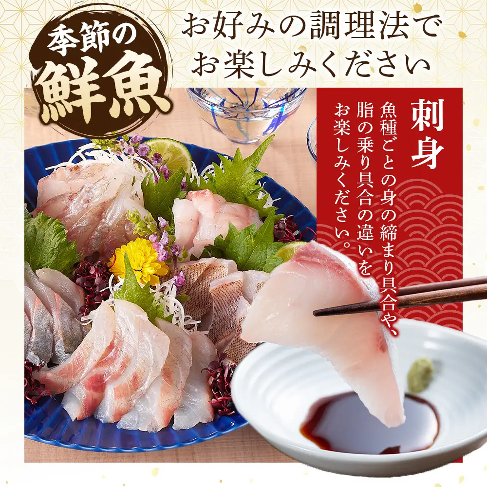 ＜金～日着※指定日不可＞＜期間限定＞＜4月上旬～10月末頃発送予定＞朝獲れ鮮魚ボックス「美保湾の恵み」(計2.5kg以上)
