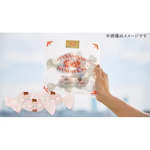 アイス 花豆サンド チョコヴィーガン (6個入り×1袋) SCARLET [AB073tu]