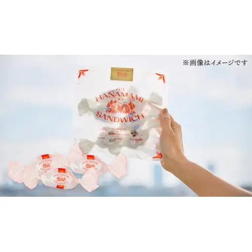 アイス 花豆サンド ミルク (6個入り×1袋) SCARLET [AB075tu]