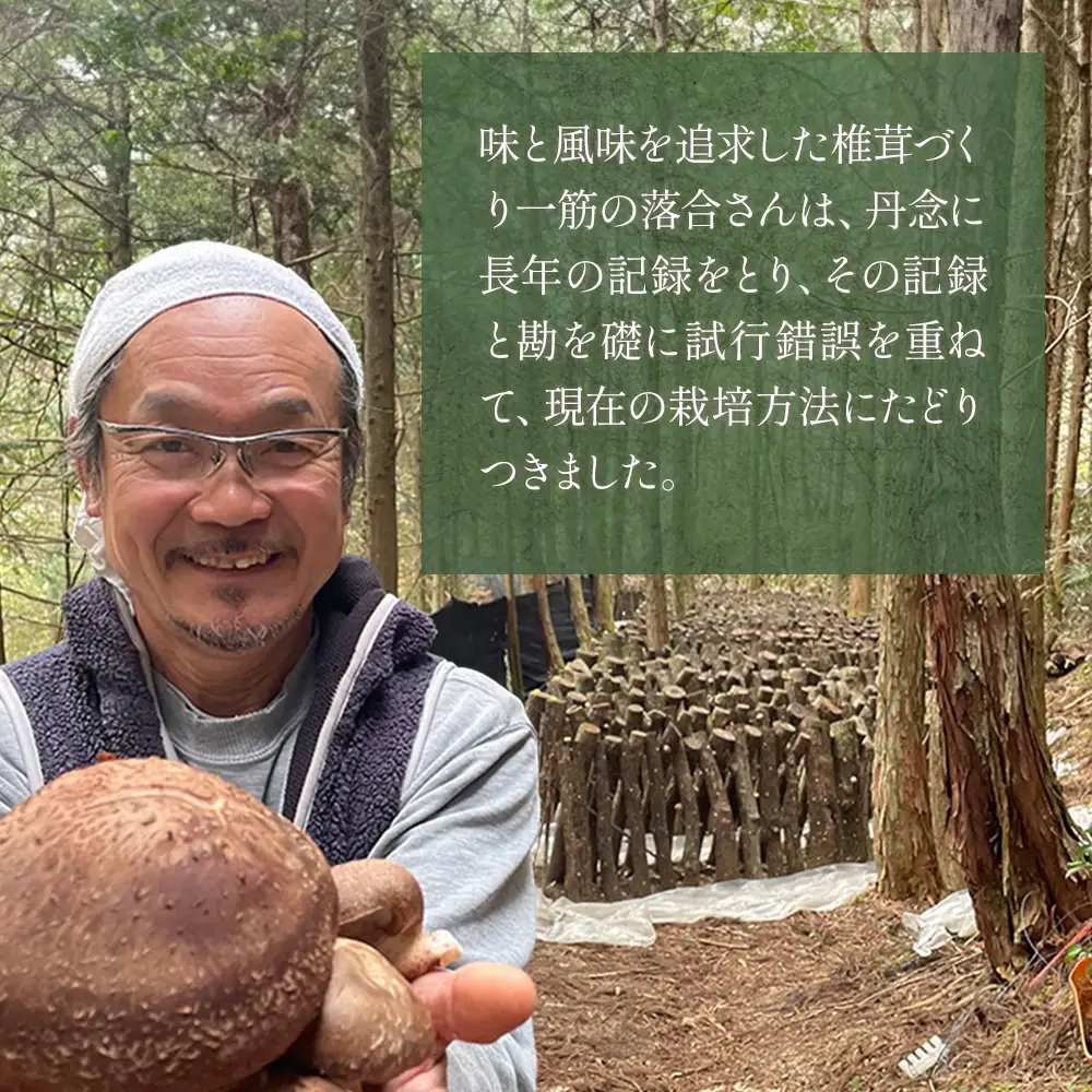 【お中元ギフト】	槻木産 中葉厚肉 乾燥椎茸 計300g (100g×3袋)  026-0573-c