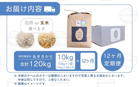 【先行予約】【令和7年産】定期便 ≪12ヶ月連続お届け≫ 受賞歴多数！福井県 坂井町産 特別栽培米あきさかり 10kg (白米) 【2025年10月上旬より順次発送予定】【お米 こめ コメ 米 おいしい ごはん ご飯 ブランド米 ふるさと納税米 産地直送】 [O-4803_01]